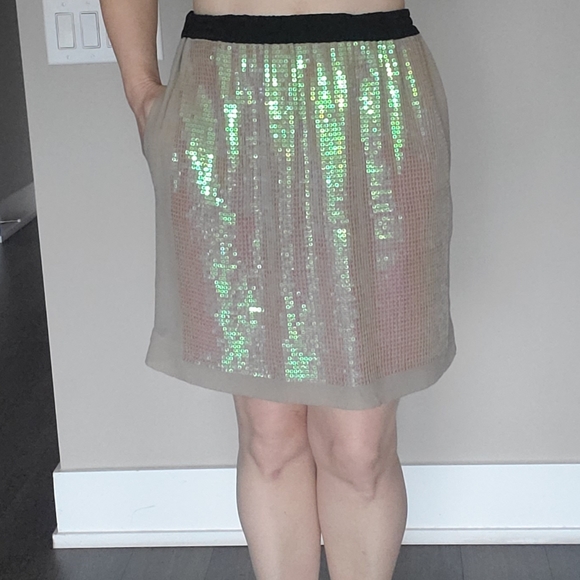๐ 2X HOST PICK ๐ BCBG MaxAzria Sequins Silk Skirt - Picture 6 of 15
